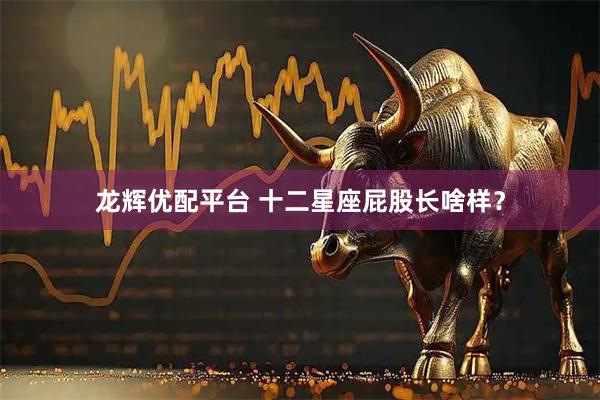 龙辉优配平台 十二星座屁股长啥样？