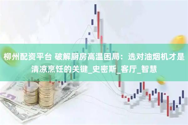 柳州配资平台 破解厨房高温困局：选对油烟机才是清凉烹饪的关键_史密斯_客厅_智慧